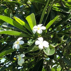 Meet your Posher, Mmarianne